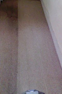 Professional Carpet Cleaning 349255 Image 2